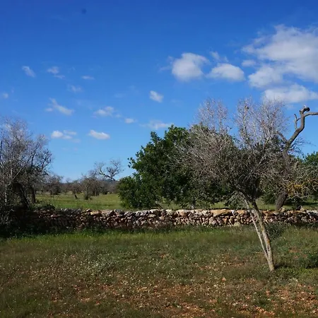 Frigola. Ibiza 9pax Villa *